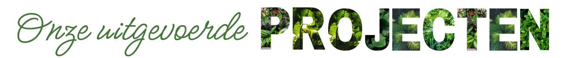 PAT • Tekst pagina Projecten