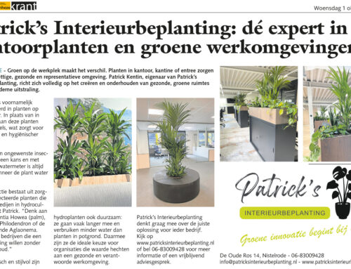 Patrick’s Interieurbeplanting: dé expert in kantoorplanten en groene werkomgevingen