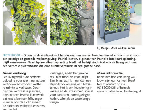 Patrick’s Interieurbeplanting introduceert groene wanden voor binnenruimtes